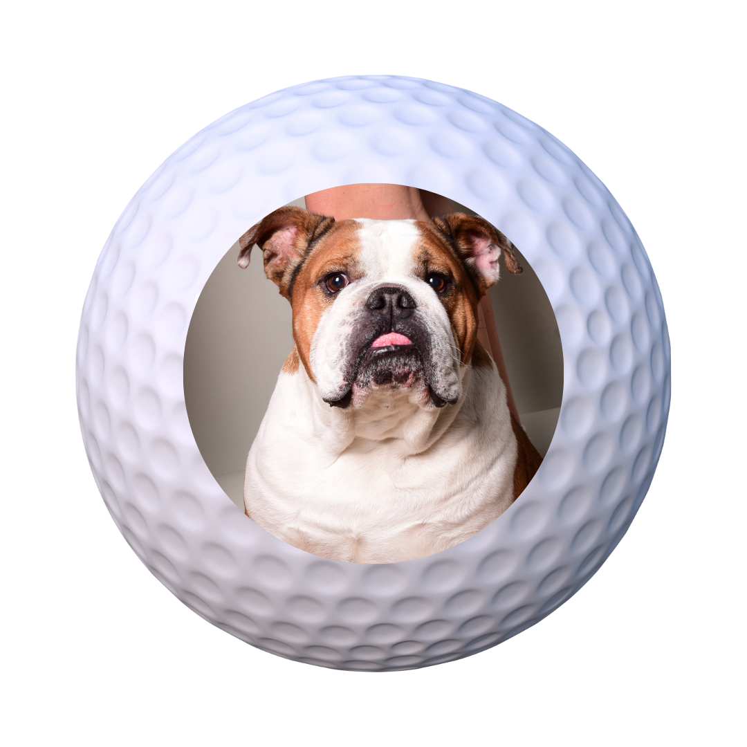Personalized Golf Ball (Photo or Logo)